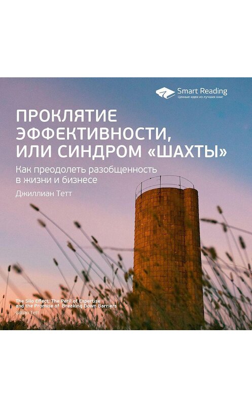 Обложка аудиокниги «Ключевые идеи книги: Проклятие эффективности, или Синдром «шахты». Джиллиан Тетт» автора Smart Reading.