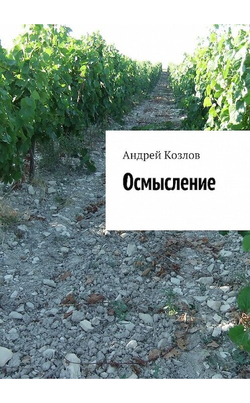 Обложка книги «Осмысление» автора Андрея Козлова. ISBN 9785448507564.
