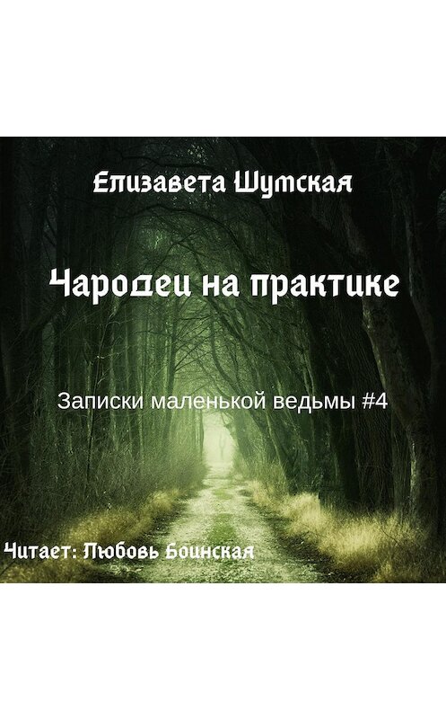 Обложка аудиокниги «Чародеи на практике» автора Елизавети Шумская.