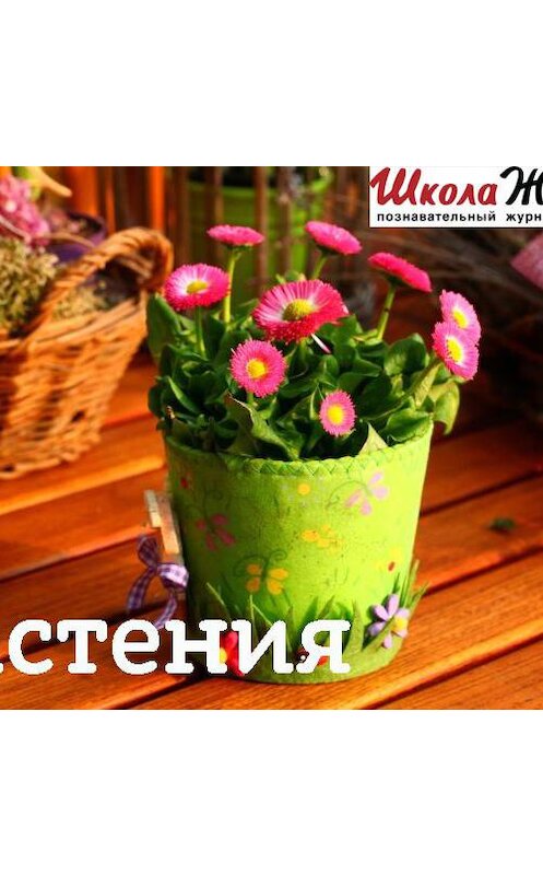 Обложка аудиокниги «Что мы знаем о растениях - знаках цветочного гороскопа? Омела.» автора Алексея Норкина.