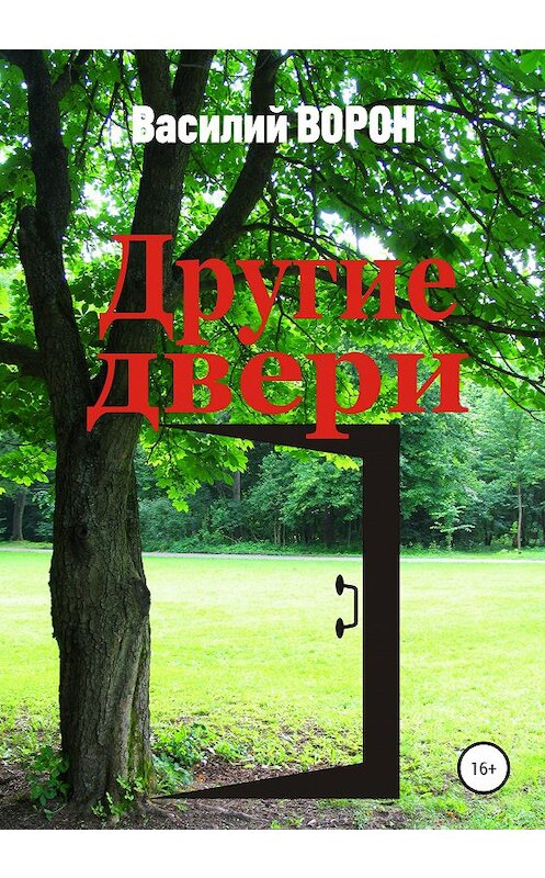 Обложка книги «Другие двери» автора Василия Ворона издание 2020 года.