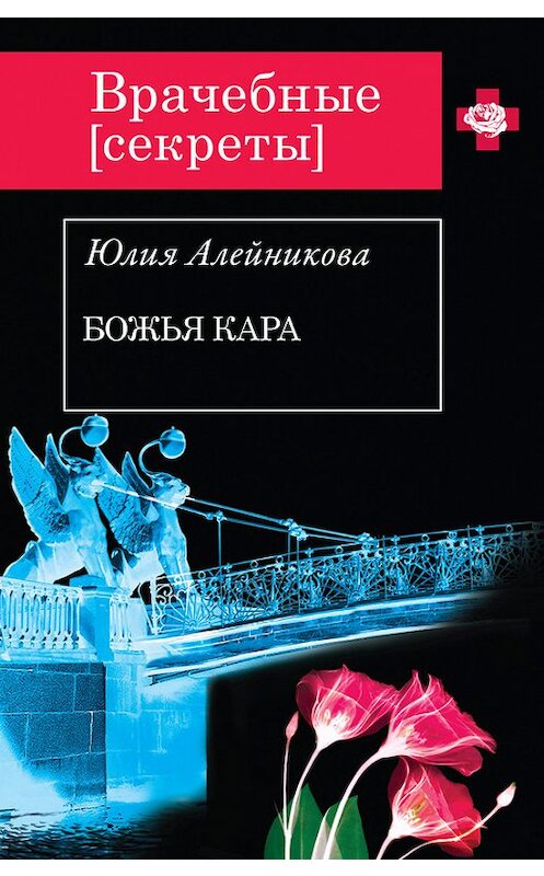 Обложка книги «Божья кара» автора Юлии Алейникова издание 2014 года. ISBN 9785699709113.