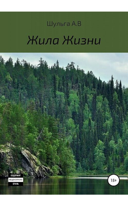 Обложка книги «Жила Жизни» автора Андрей Шульги издание 2020 года.