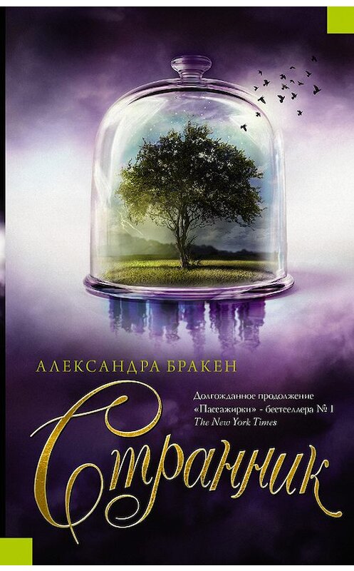 Обложка книги «Странник» автора Александры Бракена издание 2018 года. ISBN 9785171025120.