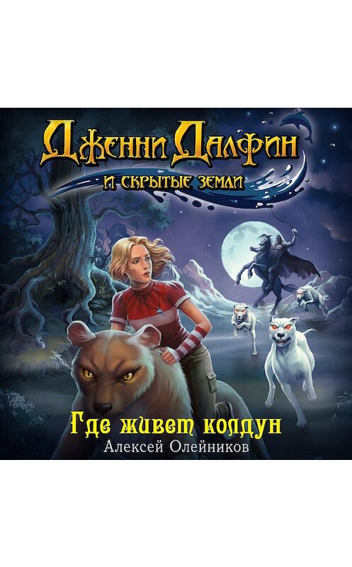 Обложка аудиокниги «Где живет колдун» автора Алексея Олейникова.
