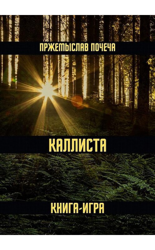 Обложка книги «Каллиста. Книга-игра» автора Пржемыслав Почечи. ISBN 9785005175717.