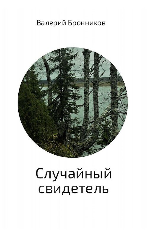 Обложка книги «Случайный свидетель» автора Валерия Бронникова издание 2017 года.