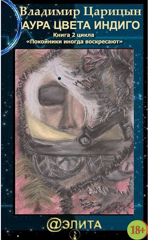 Обложка книги «Аура цвета индиго» автора Владимира Царицына издание 2012 года.