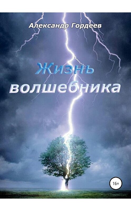 Обложка книги «Жизнь волшебника» автора Александра Гордеева.