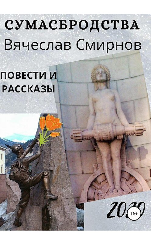 Обложка книги «Сумасбродства» автора Вячеслава Смирнова издание 2020 года.