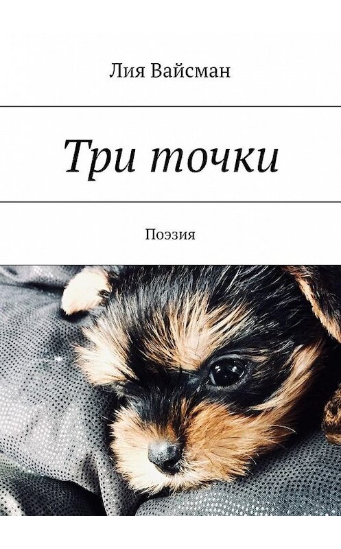 Обложка книги «Три точки. Поэзия» автора Лии Вайсмана. ISBN 9785449630421.