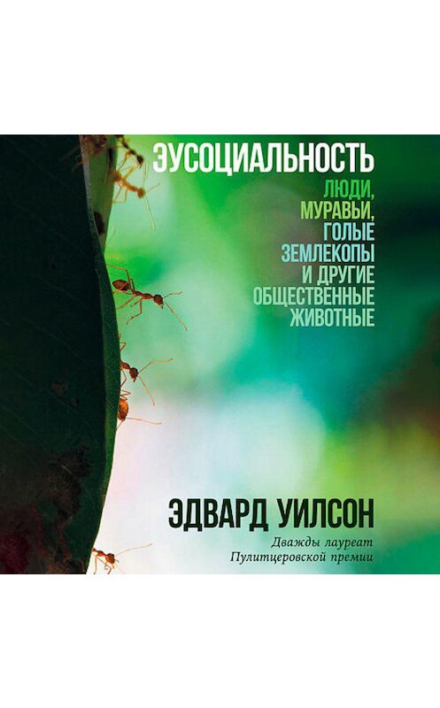Обложка аудиокниги «Эусоциальность» автора Эдварда Уилсона. ISBN 9789179895358.