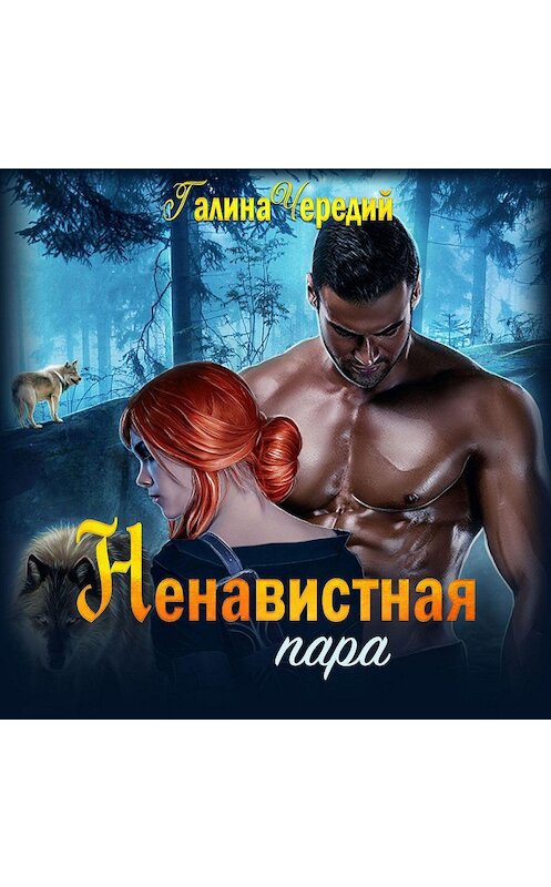 Обложка аудиокниги «Ненавистная пара» автора Галиной Чередий.