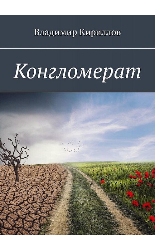 Обложка книги «Конгломерат» автора Владимира Кириллова. ISBN 9785005094803.