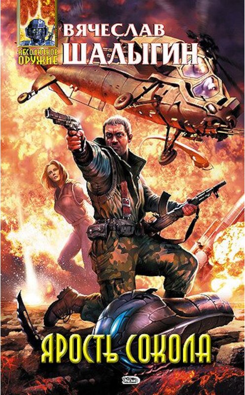 Обложка книги «Ярость Сокола» автора Вячеслава Шалыгина издание 2006 года. ISBN 5699177116.