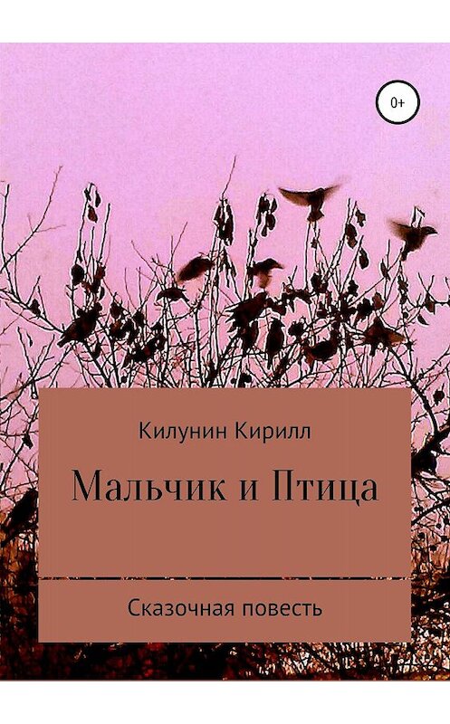 Обложка книги «Мальчик и Птица» автора Кирилла Килунина издание 2018 года.