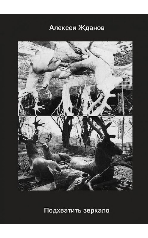 Обложка книги «Подхватить зеркало. Роман с самим собой» автора Алексея Жданова. ISBN 9785448378584.