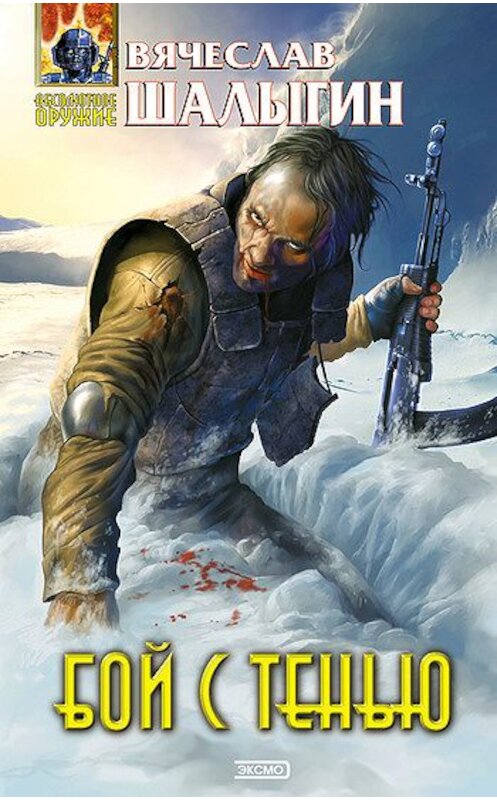 Обложка книги «Бой с тенью» автора Вячеслава Шалыгина издание 2004 года. ISBN 569905930x.