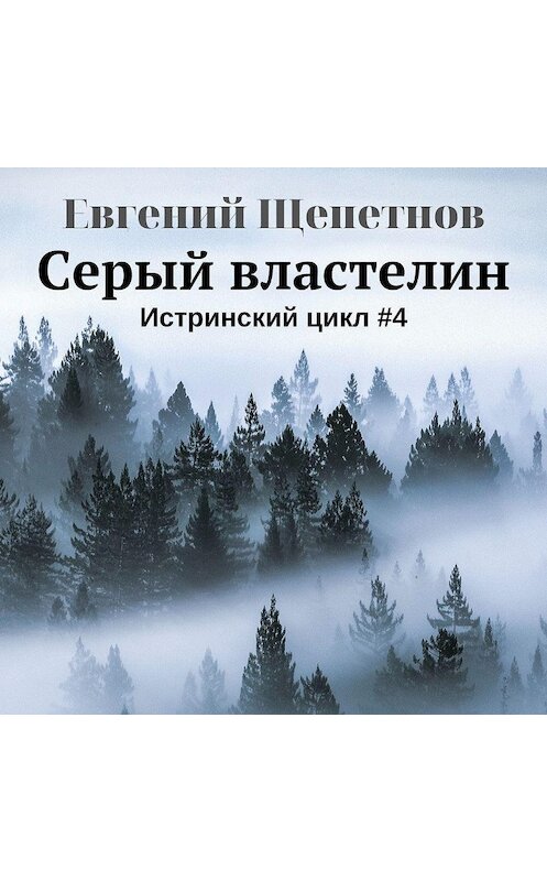 Обложка аудиокниги «Серый властелин» автора Евгеного Щепетнова.