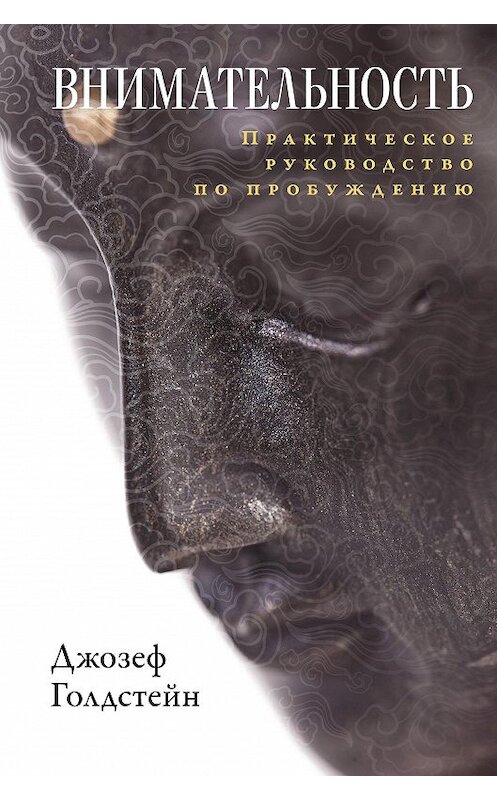 Обложка книги «Внимательность. Практическое руководство по пробуждению» автора Джозефа Голдстейна издание 2020 года. ISBN 9785907243323.