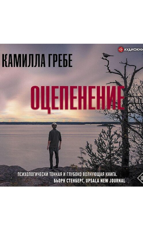 Обложка аудиокниги «Оцепенение» автора Камиллы Гребе.