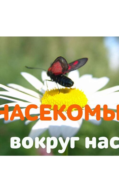 Обложка аудиокниги «Мадагаскарский таракан: чудовище или домашний любимец?» автора Авроры Ли.