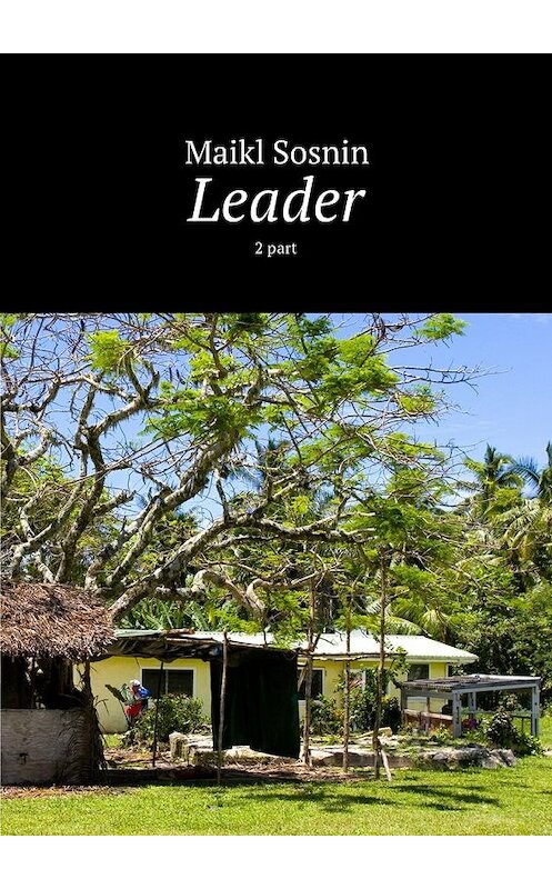 Обложка книги «Leader. 2 part» автора Maikl Sosnin. ISBN 9785448359415.