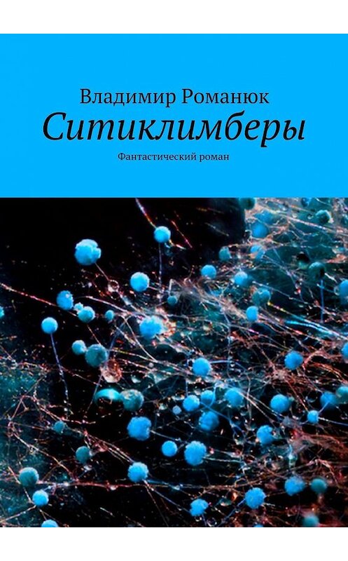 Обложка книги «Ситиклимберы. Фантастический роман» автора Владимира Романюка. ISBN 9785447488888.