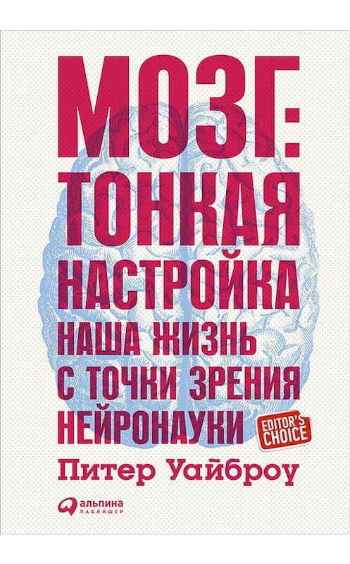 Обложка книги «Мозг: Тонкая настройка. Наша жизнь с точки зрения нейронауки» автора Питер Уайброу издание 2016 года. ISBN 9785961441925.