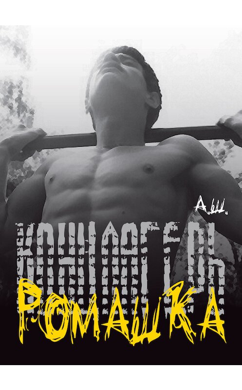 Обложка книги «Концлагерь «Ромашка»» автора А. Ш. издание 2015 года.