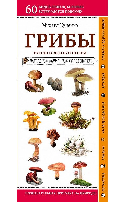 Обложка книги «Грибы русских лесов и полей» автора Михаил Куценко издание 2020 года. ISBN 9785041118815.