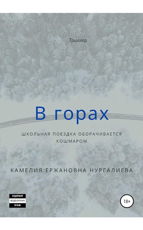 Обложка книги «В горах» автора Камелии Нургалиевы издание 2020 года.
