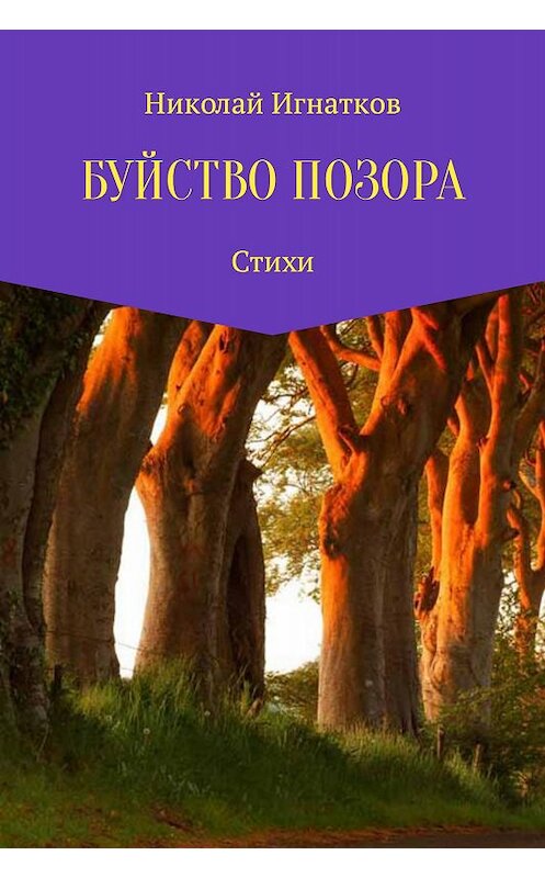 Обложка книги «Буйство позора» автора Николая Игнаткова.