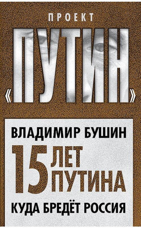 Обложка книги «Пятнадцать лет Путина. Куда бредет Россия» автора Владимира Бушина издание 2015 года. ISBN 9785906789952.