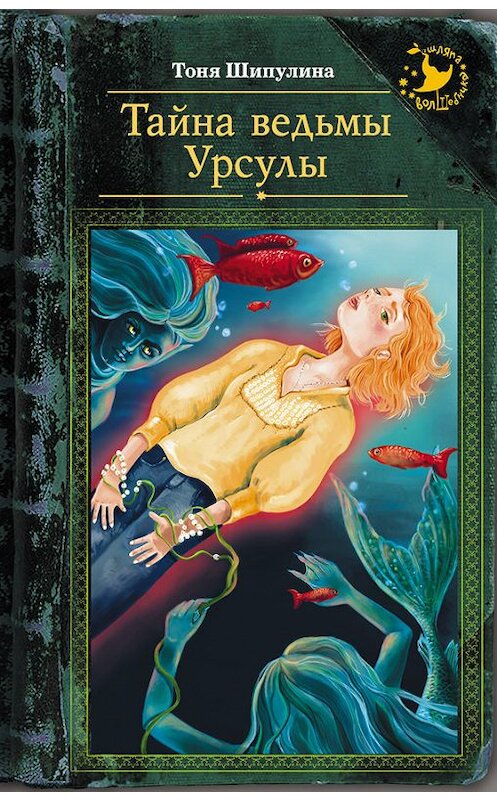 Обложка книги «Тайна ведьмы Урсулы» автора Тони Шипулины издание 2016 года. ISBN 9785170949885.