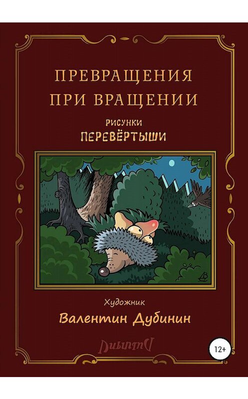 Обложка книги «Превращения при вращении» автора Валентина Дубинина издание 2020 года.