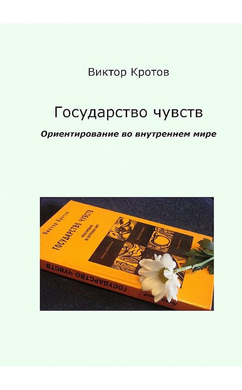 Обложка книги «Государство чувств. Ориентирование во внутреннем мире» автора Виктора Кротова. ISBN 9785448334115.