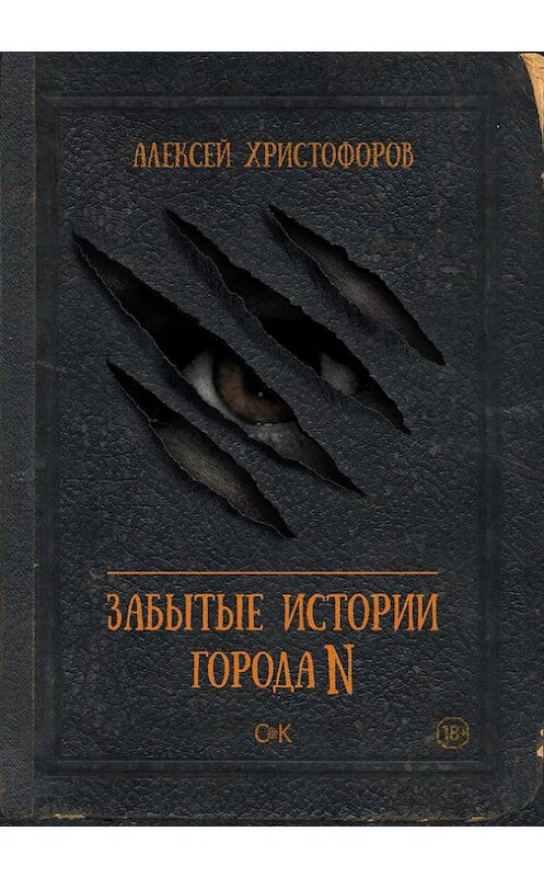 Обложка книги «Забытые истории города N» автора Алексея Христофорова издание 2015 года. ISBN 9785600009677.