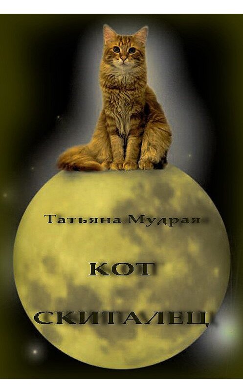 Обложка книги «Кот-Скиталец» автора Татьяны Мудрая.