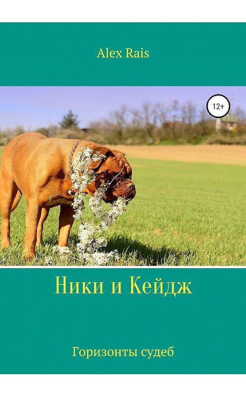 Обложка книги «Ники и Кейдж. Горизонты судеб» автора Alex Rais издание 2020 года. ISBN 9785532067738.