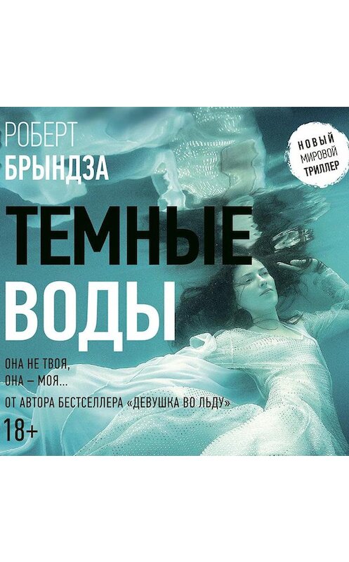 Обложка аудиокниги «Темные воды» автора Роберт Брындзы.