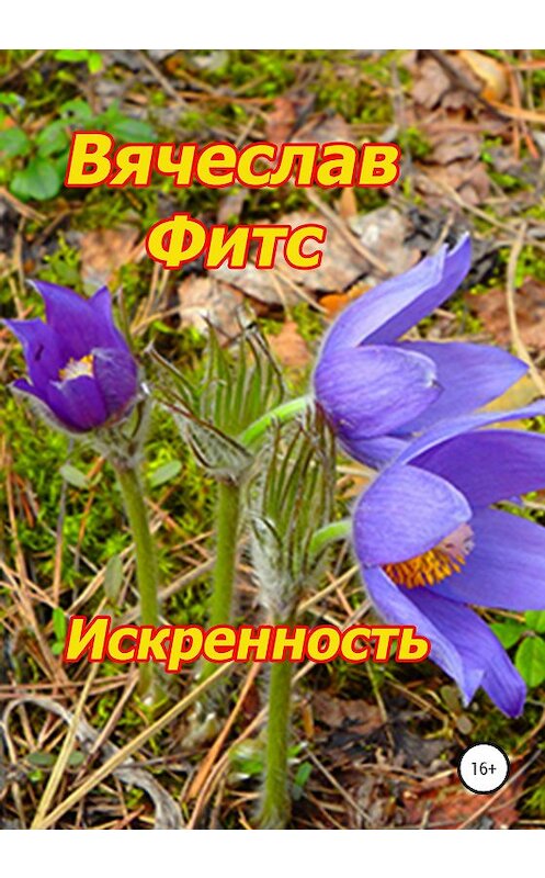 Обложка книги «Искренность» автора Вячеслава Фитса издание 2020 года.