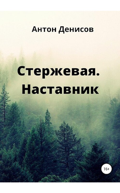 Обложка книги «Стержевая. Наставник» автора Антона Денисова издание 2020 года.