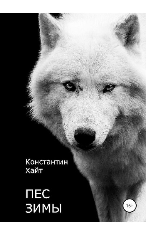 Обложка книги «Пес Зимы» автора Константина Хайта издание 2020 года.