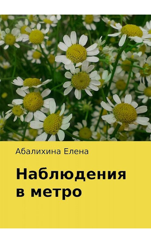 Обложка книги «Наблюдения в метро» автора Елены Абалихины издание 2017 года.