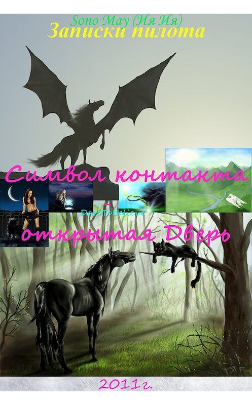 Обложка книги «Записки пилота, Символ контакта – открытая Дверь» автора Sono (ия-Ия).