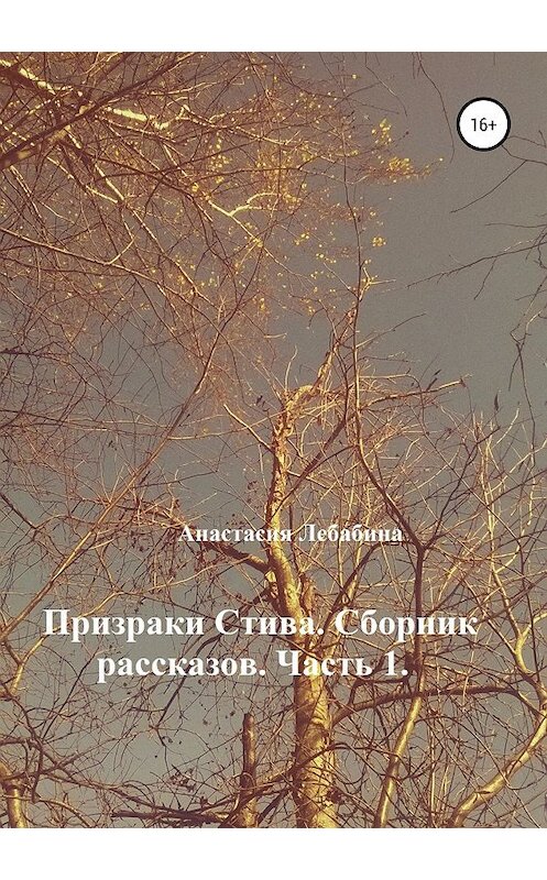 Обложка книги «Призраки Стива. Сборник рассказов. Часть 1» автора Анастасии Лебабины издание 2018 года.