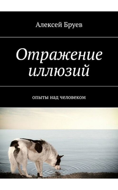 Обложка книги «Отражение иллюзий» автора Алексея Бруева. ISBN 9785447427153.