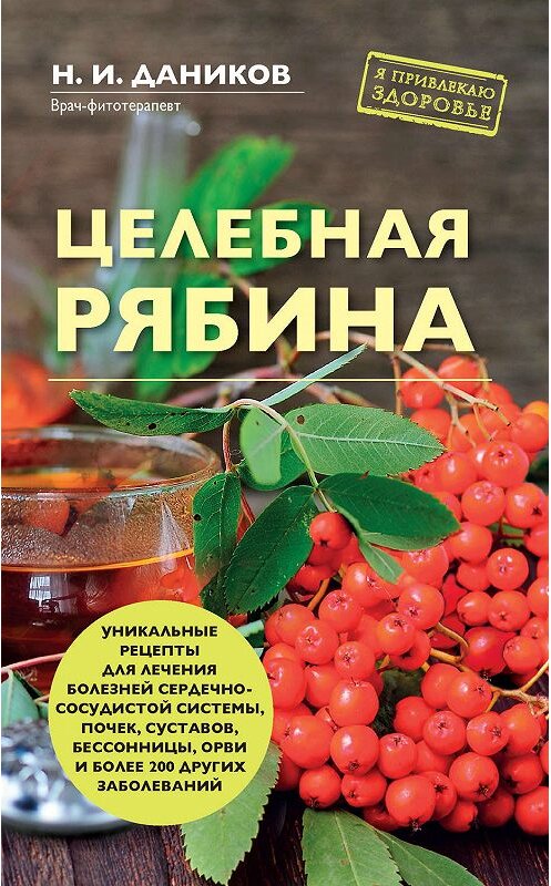 Обложка книги «Целебная рябина» автора Николая Даникова издание 2020 года. ISBN 9785041041717.