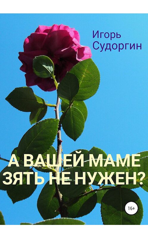 Обложка книги «А вашей маме зять не нужен?» автора Игоря Судоргина издание 2020 года.